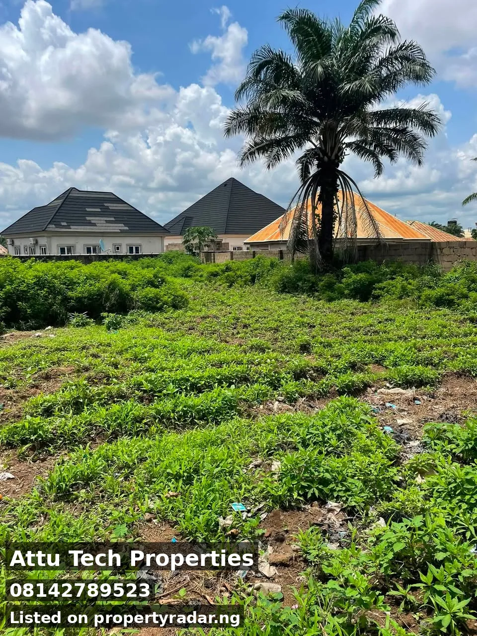 Land In Nyon For Sale in Benue